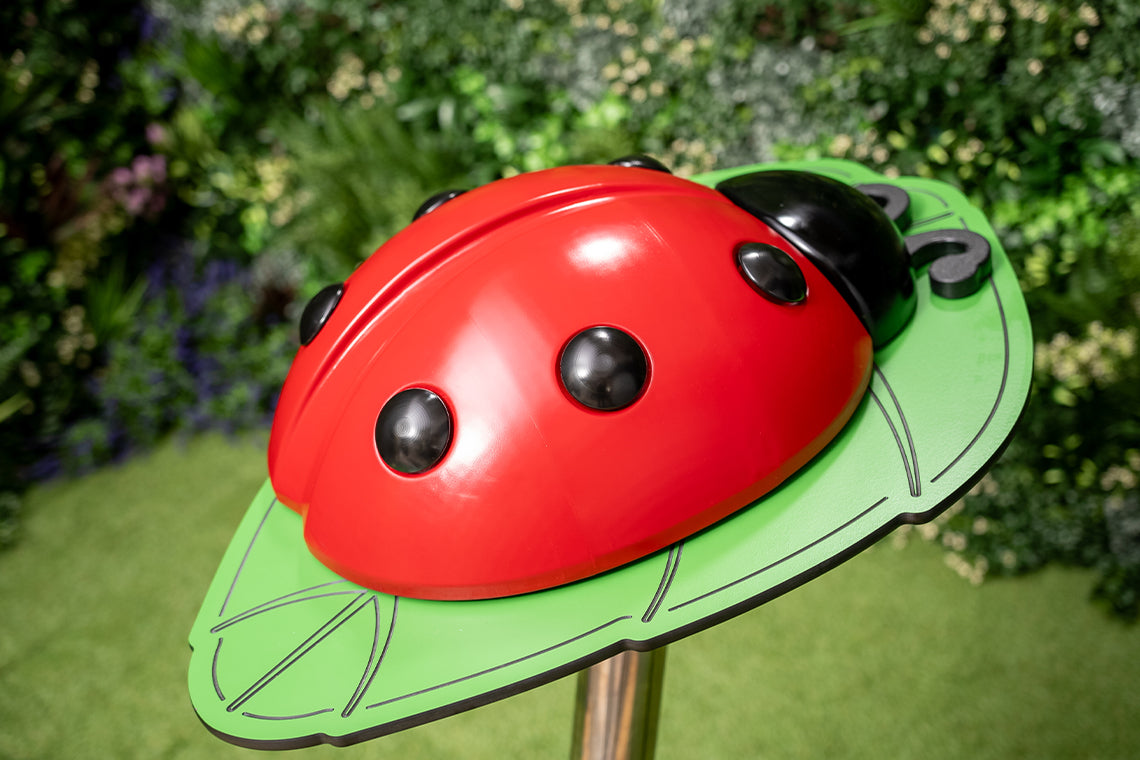 Ladybug
