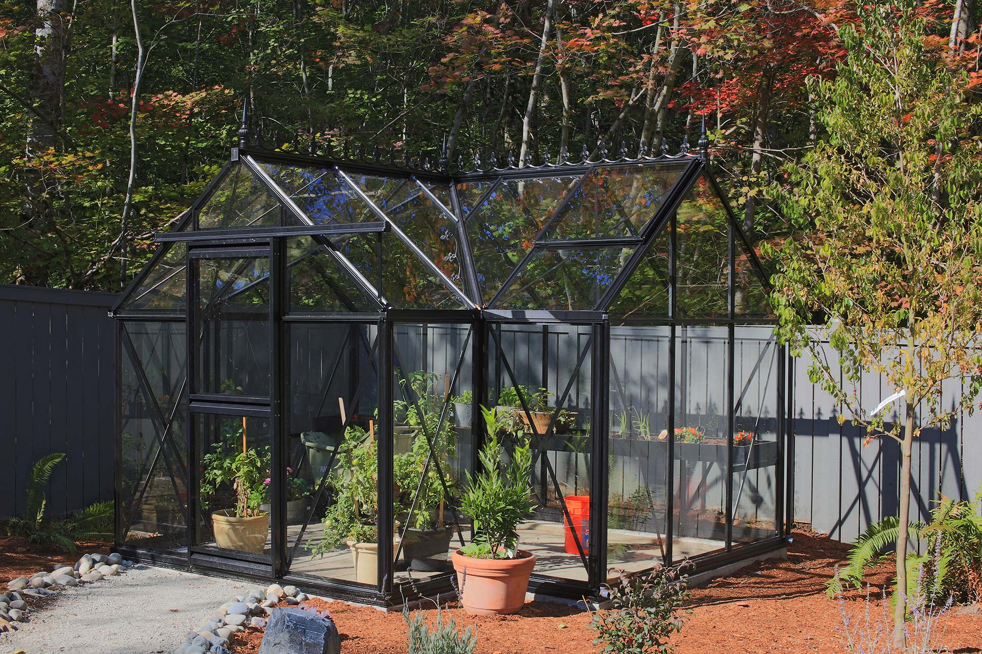 Black-framed glass greenhouse with pitched roof, automatic vents, sliding door, and potted plants inside amid autumn foliage.