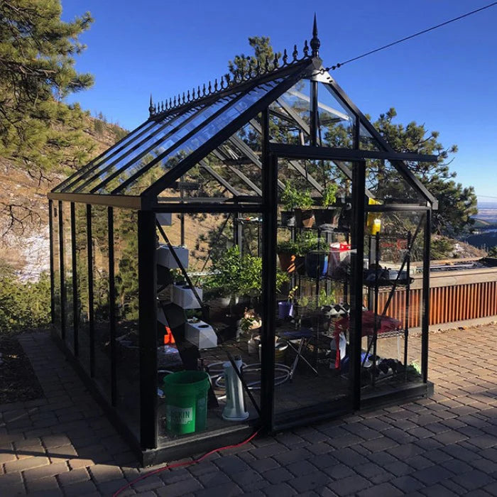 Black aluminum framed greenhouse with clear tempered glass panels, pitched roof, and plants on interior shelves