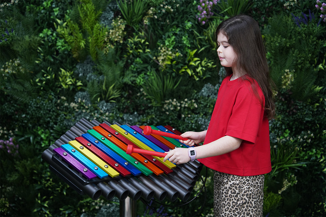 Rainbow Sansa-Rimba