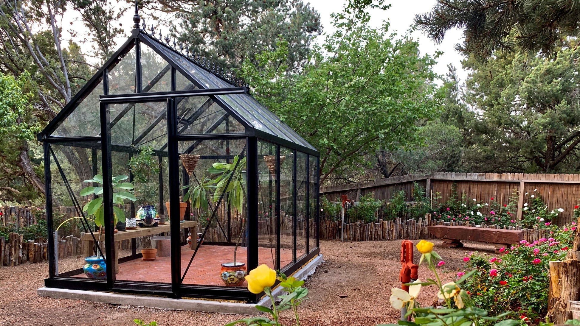 Black aluminum framed greenhouse with clear tempered glass panels, potted plants inside, surrounded by garden flowers and trees.