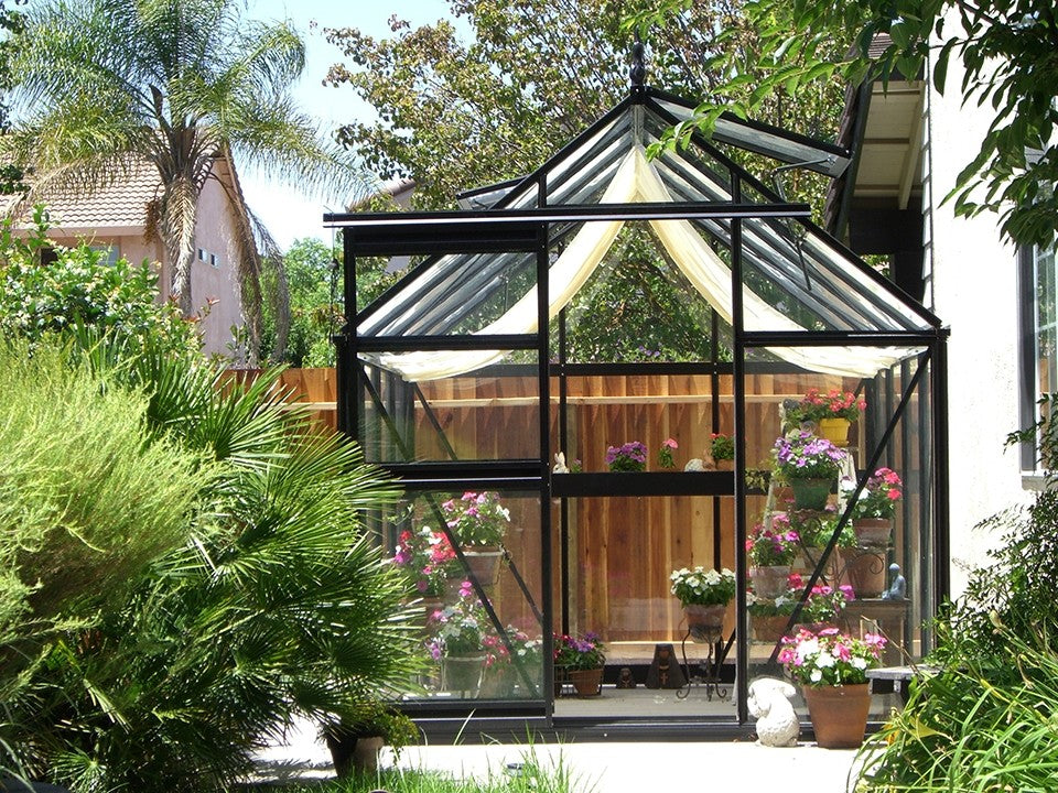 Black aluminum framed greenhouse with clear tempered glass panels, filled with colorful potted flowers and plants in a garden setting