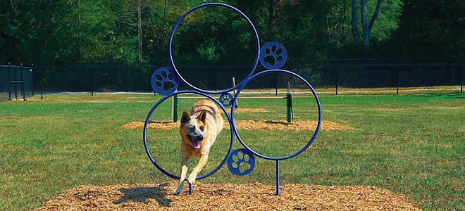 Dog running through blue agility hoop jump with paw print accents on grass field