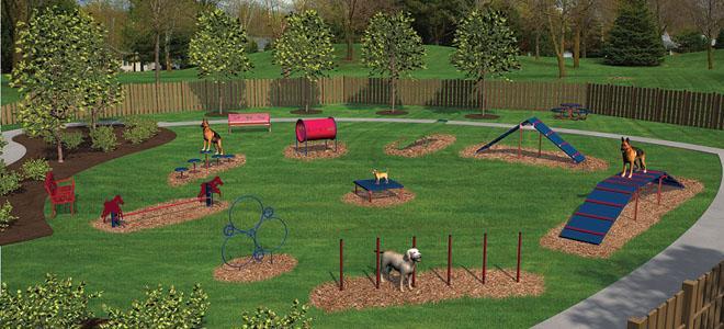 Outdoor dog agility course on grass with ramps, tunnels, weave posts, stepping paws, and teeter totter play equipment