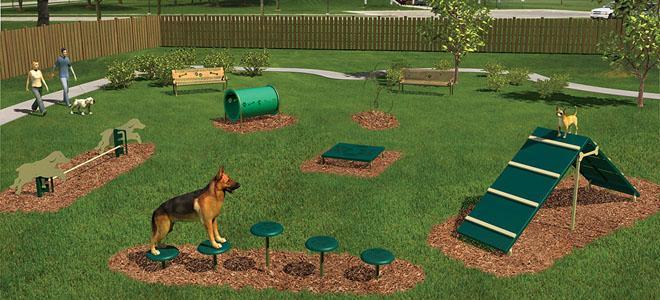 Dog agility course with green and tan climbing ramp, stepping paws, crawl tunnel, and jump bars on grass in fenced park