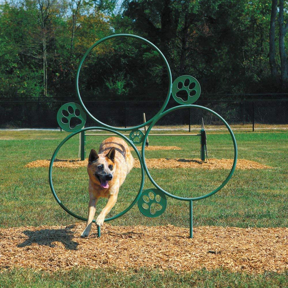 Dog jumping through green metal agility hoop with paw print cutouts on grassy field