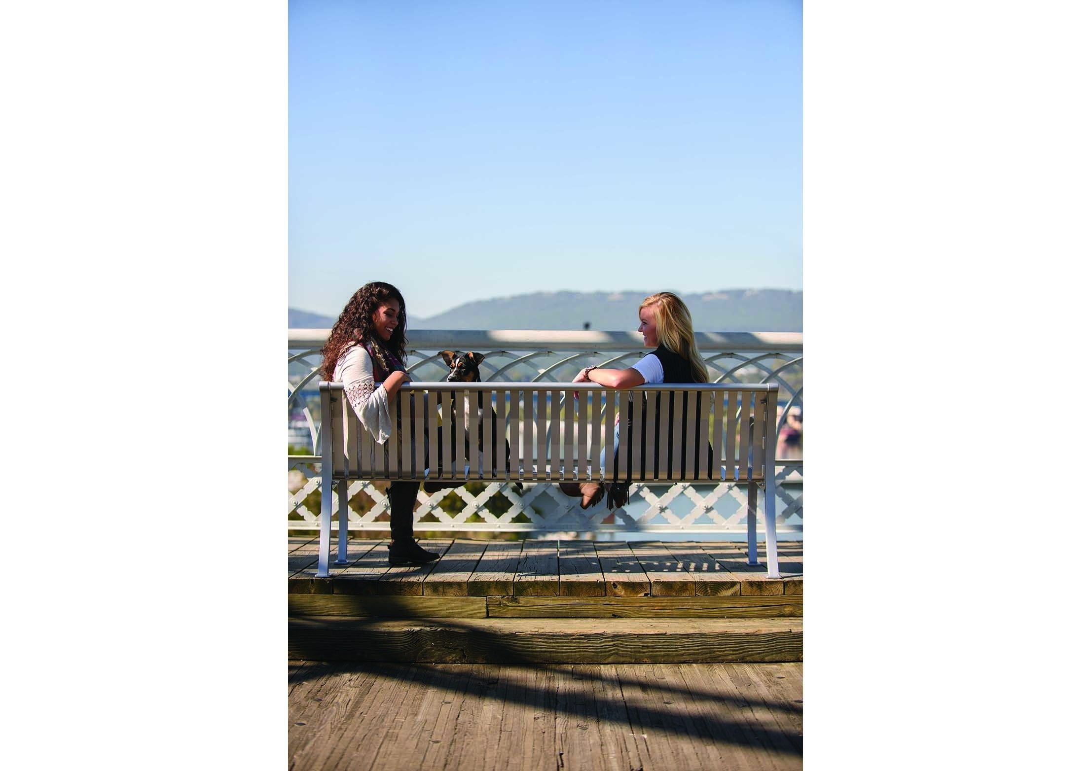 Outdoor metal bench with vertical slats and high arching arms, two women and a dog seated by waterfront