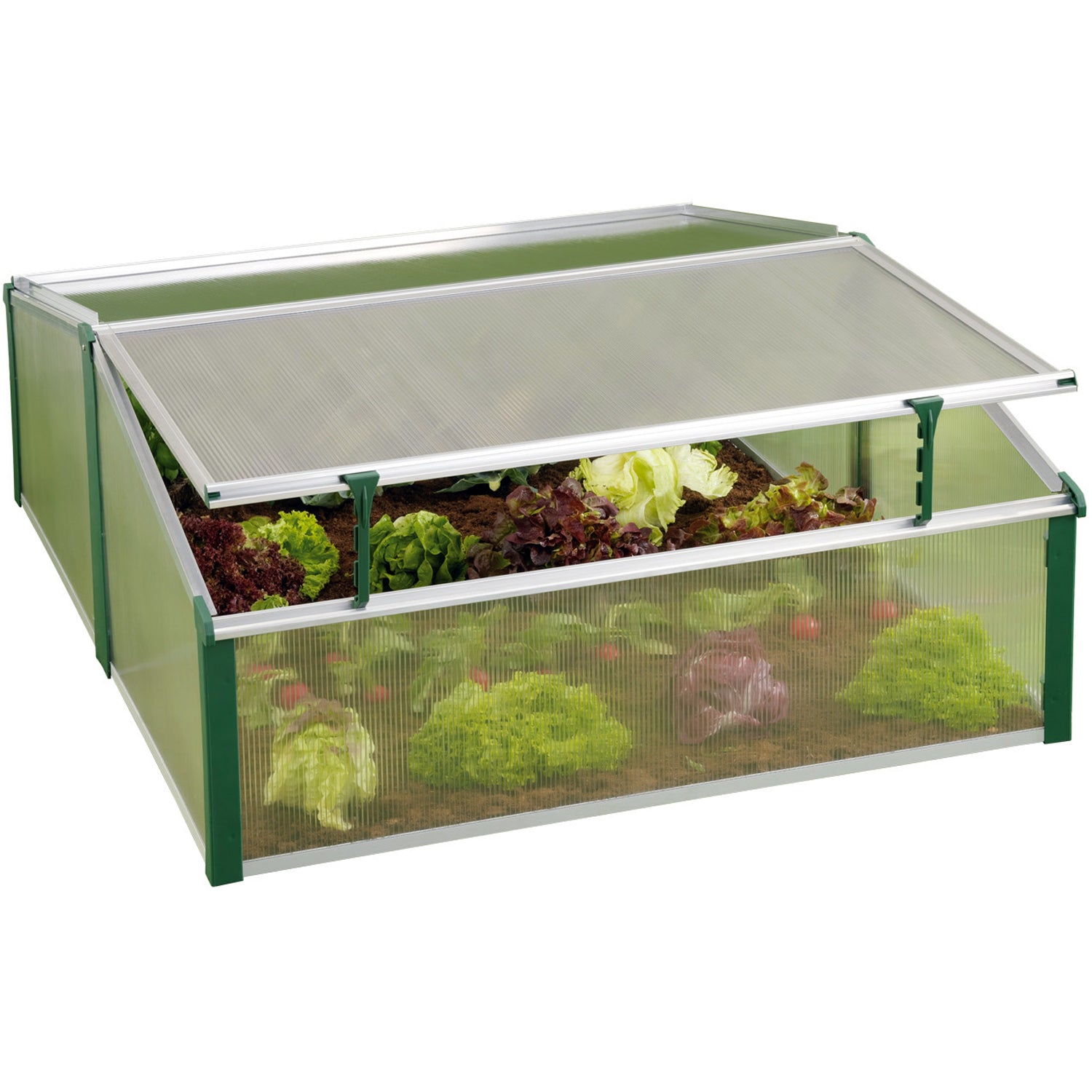 Easy-Fix Double Cold Frame greenhouse with green frame, twin wall polycarbonate panels, and leafy vegetables inside