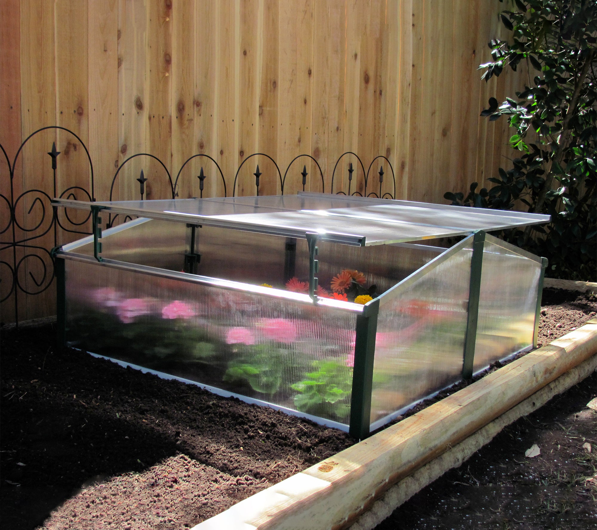 Small double cold frame greenhouse with clear polycarbonate panels, adjustable roof windows, and blooming flowers inside garden bed