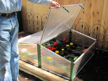 Compact double cold frame greenhouse with clear polycarbonate panels, adjustable roof windows, and vibrant flowers inside.