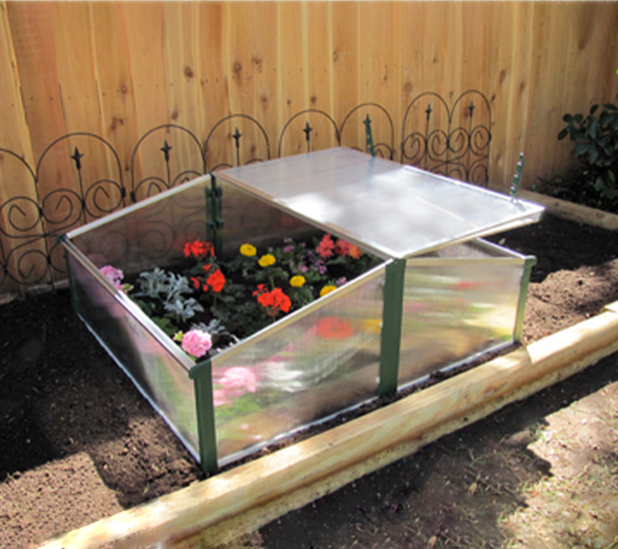 Compact double cold frame greenhouse with green frame, clear polycarbonate panels, adjustable roof windows, and colorful flowering plants inside.