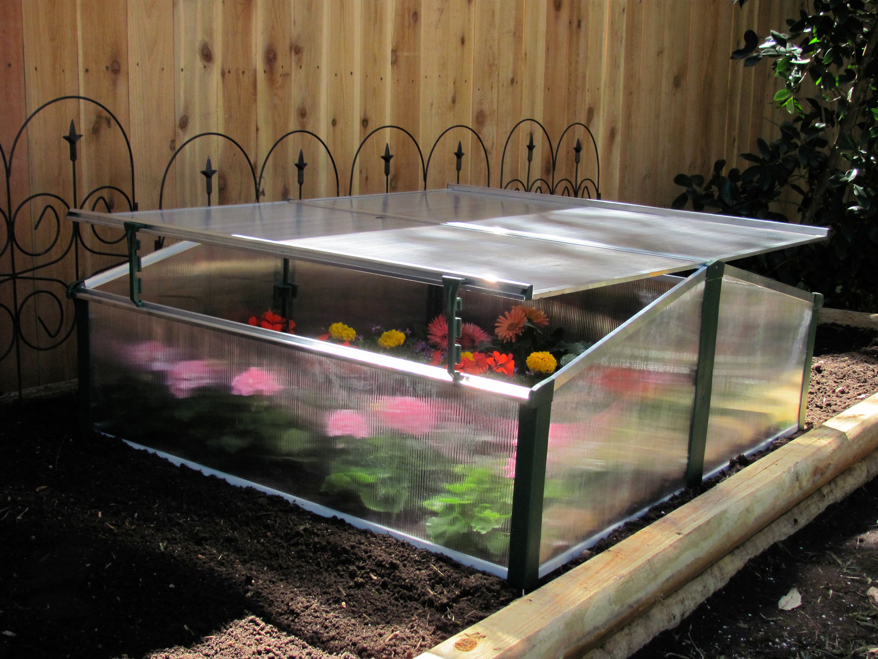 Compact double cold frame greenhouse with clear twin-wall polycarbonate panels, adjustable roof windows, and blooming flowers inside.