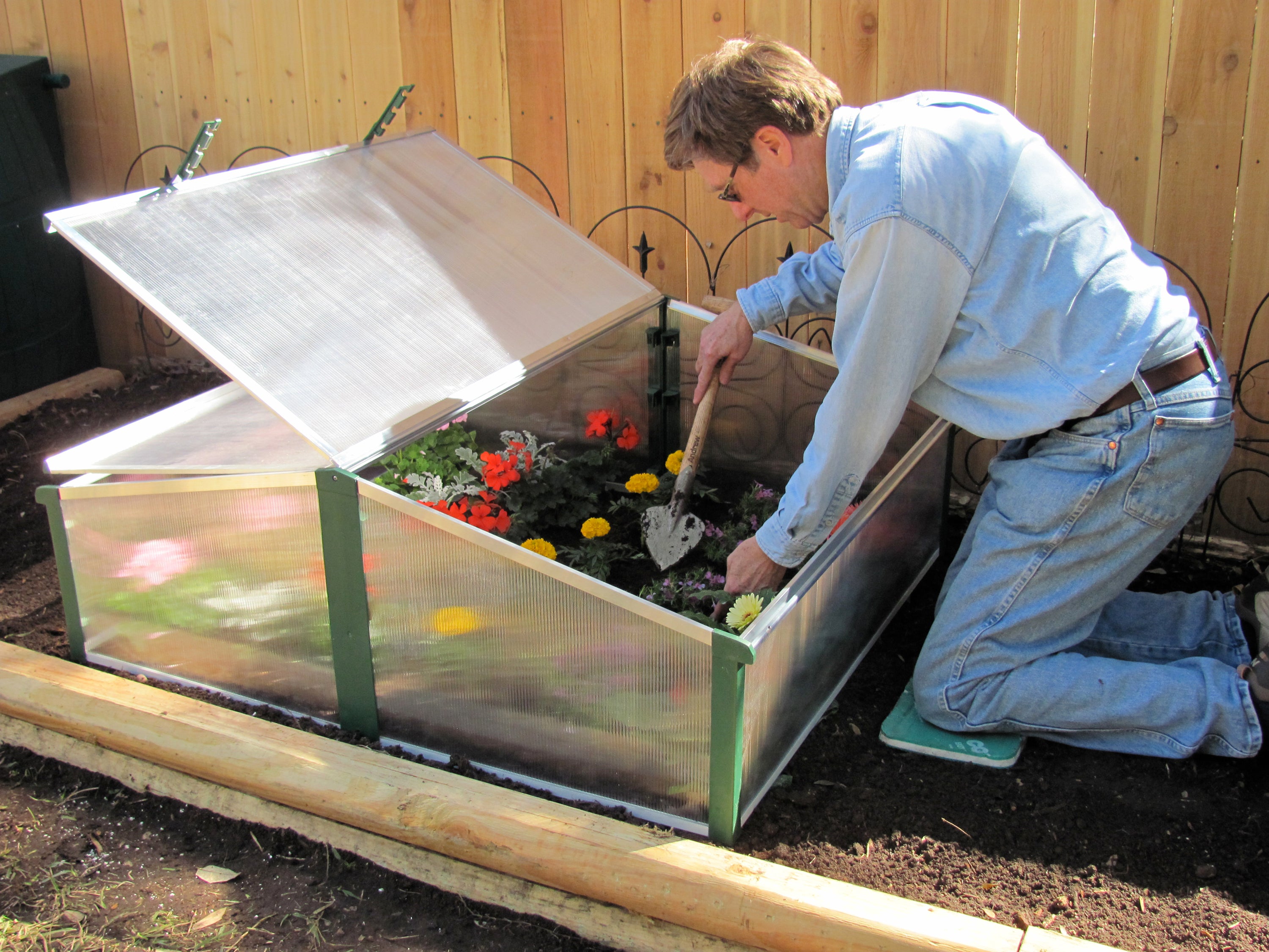 Man tending plants inside a double cold frame greenhouse with clear polycarbonate panels and adjustable roof windows