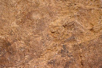 Textured brown outdoor climbing panel with multicolored handholds for skill development and play
