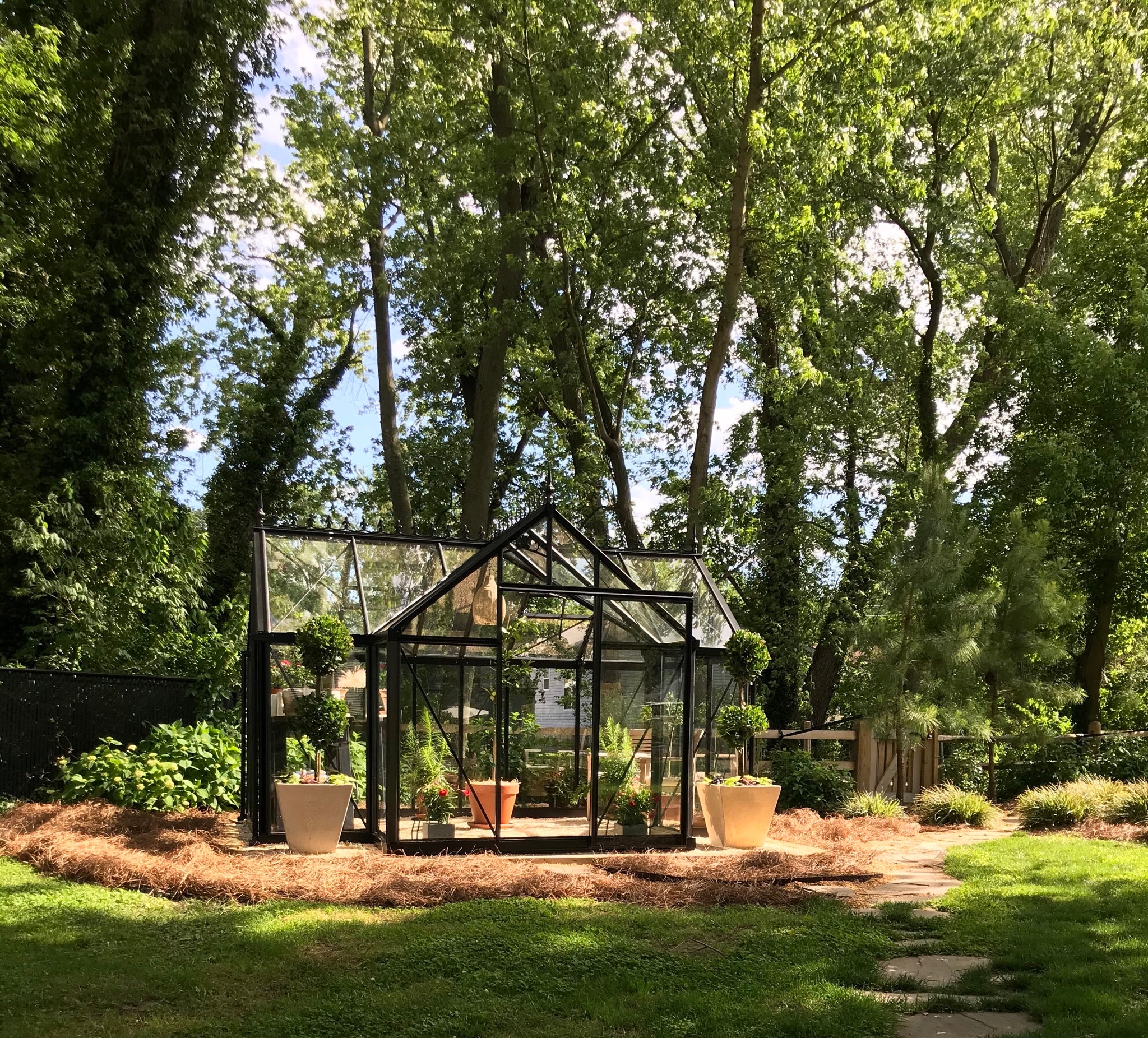 Black-framed glass greenhouse with pitched roof, sliding door, automatic roof vents, and potted plants inside and outside
