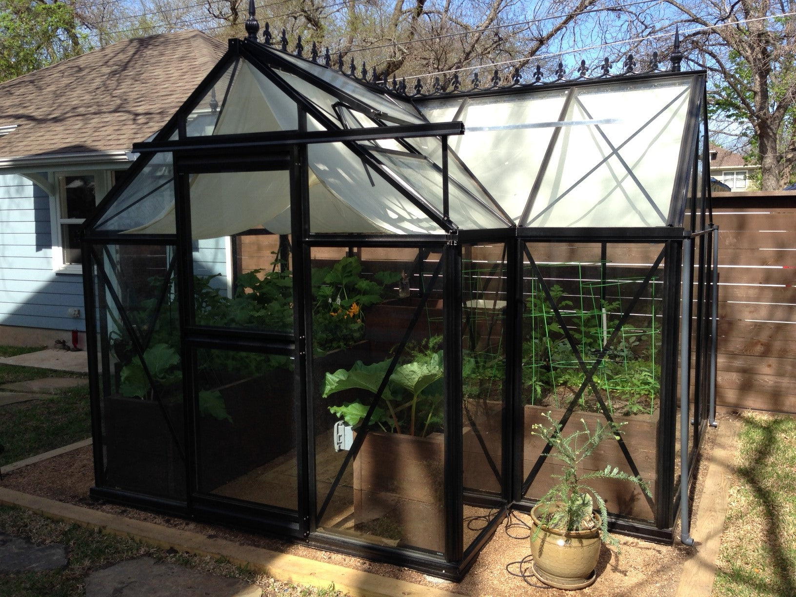 Black-framed pitched-roof greenhouse with sliding door and raised garden beds filled with green plants inside