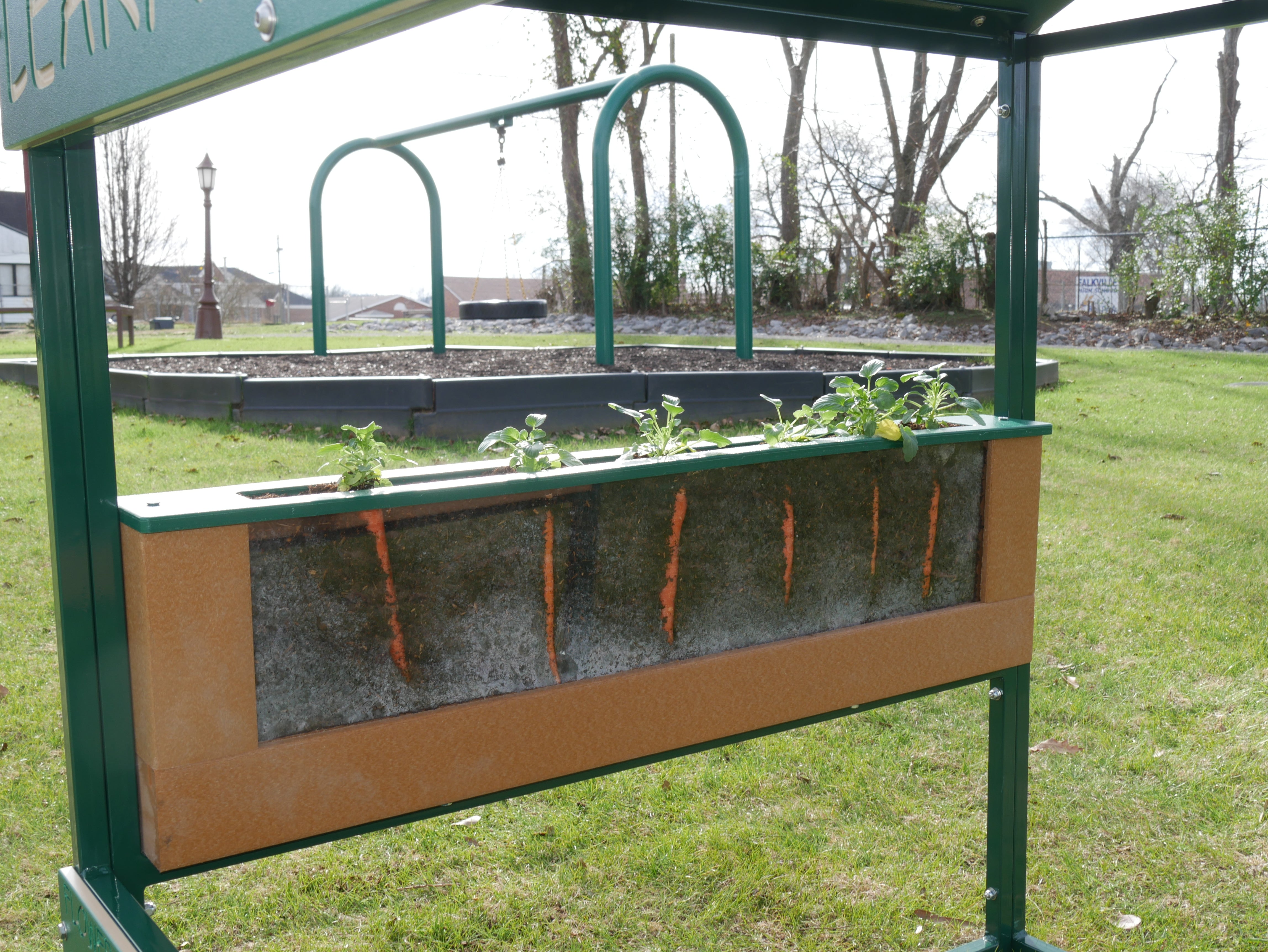 Outdoor playhouse with clear root-view planters displaying carrot growth and leafy tops, playground swing set nearby
