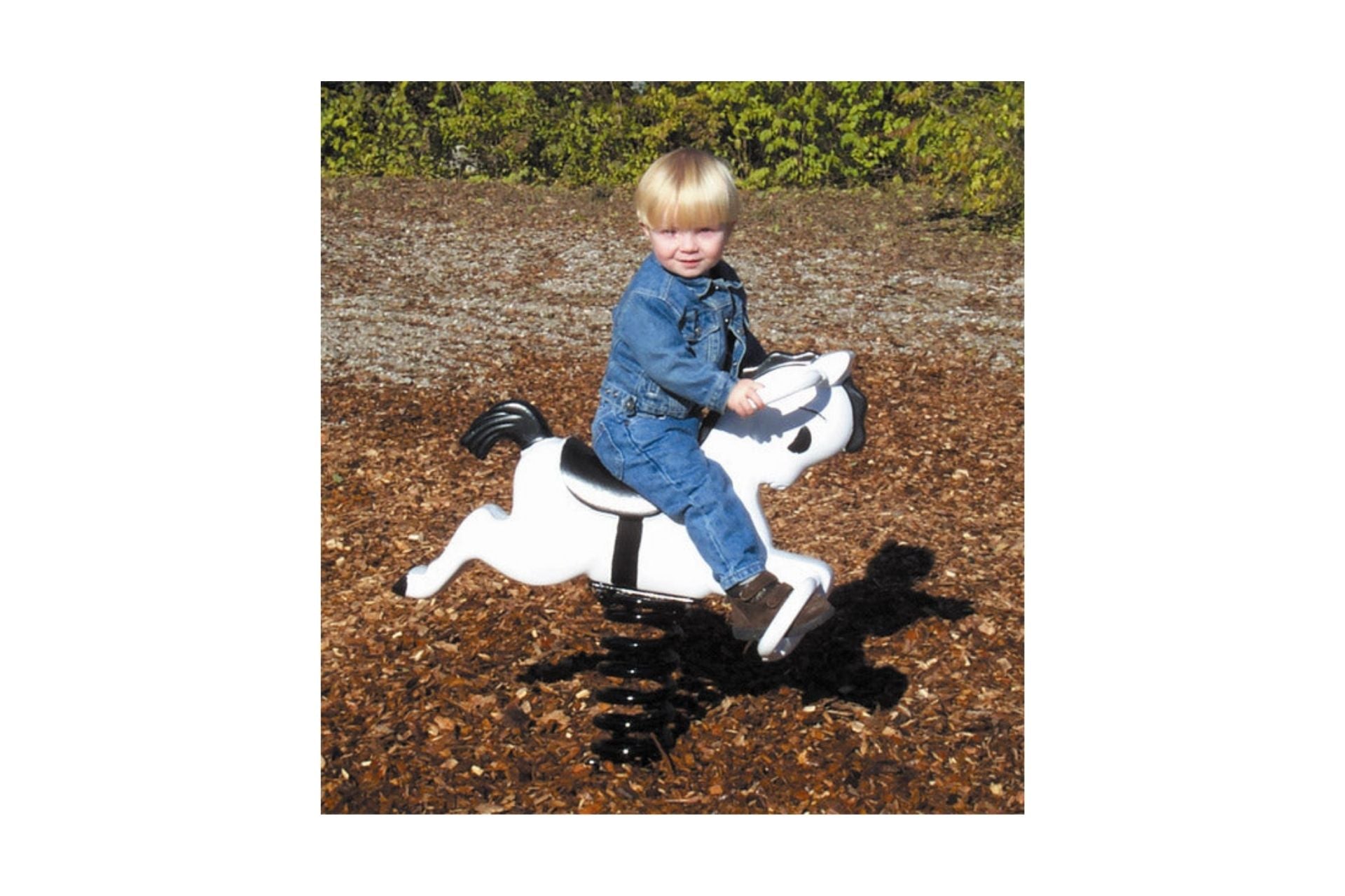 Mustang Easy Rider