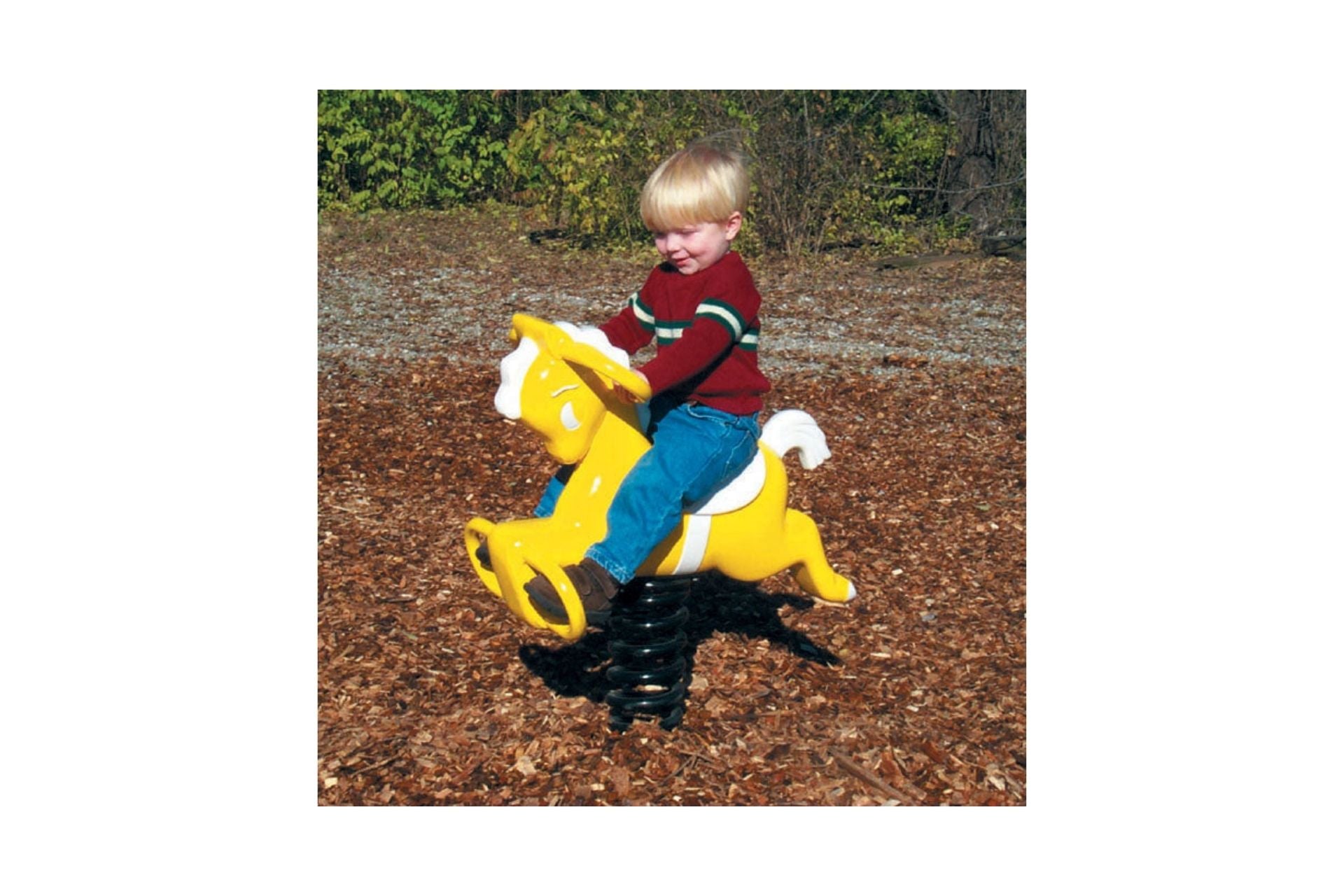 Pony Easy Rider