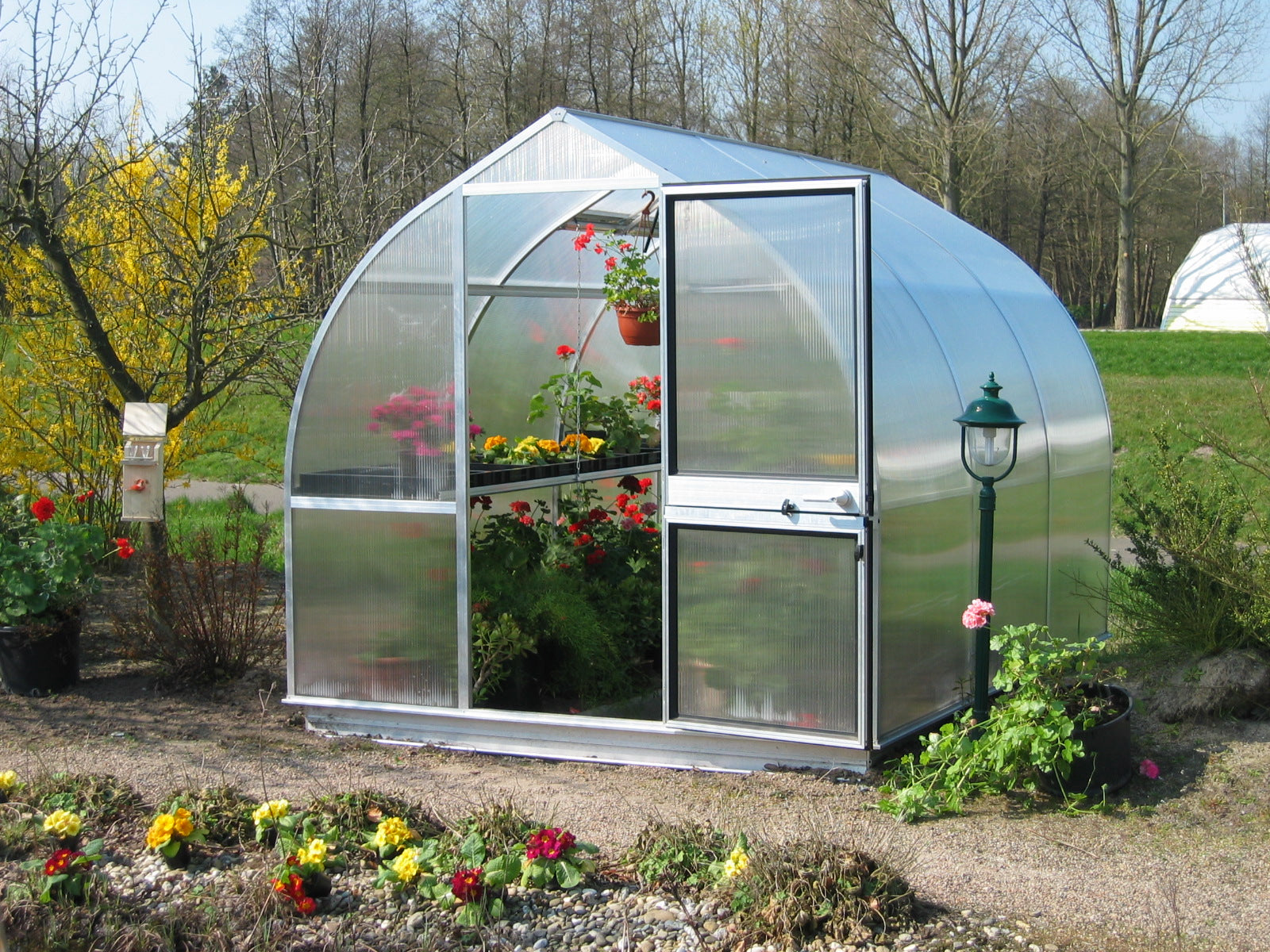 Compact greenhouse with clear twin-wall polycarbonate panels, barn-style door, roof and rear windows, vibrant flowering plants inside.