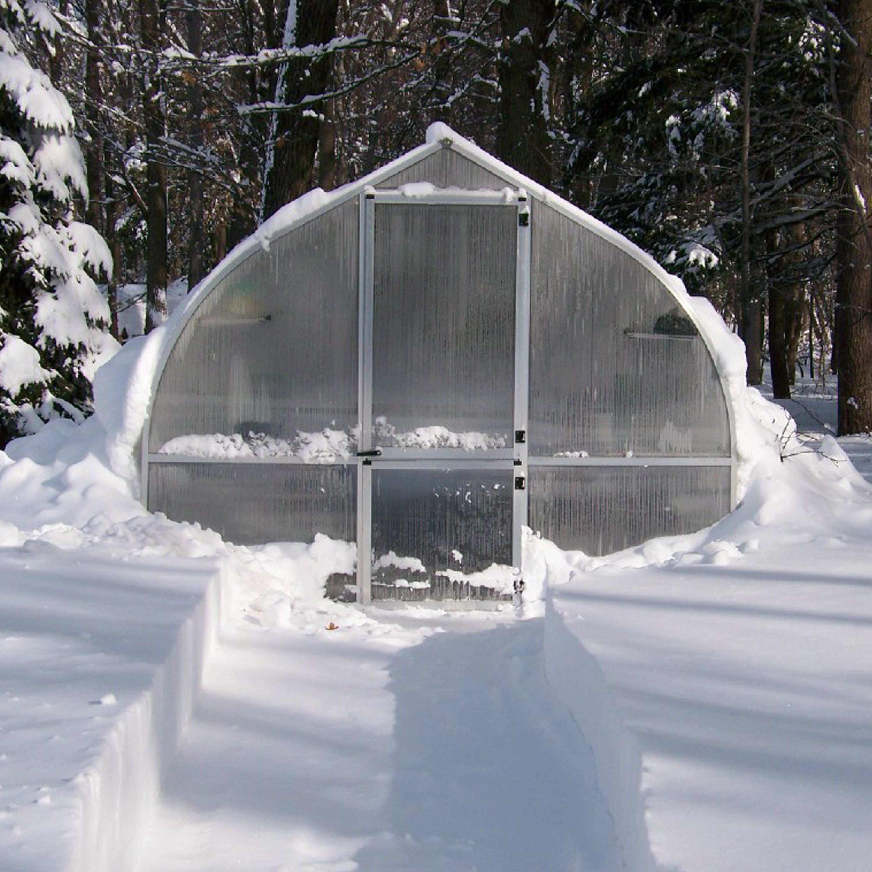 Frost-covered greenhouse with 8mm twin-wall polycarbonate panels, barn-style door, roof windows, and snowy wooded surroundings