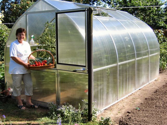 Curved polycarbonate greenhouse with open barn-style door, garden plants inside, and woman holding basket of fresh tomatoes