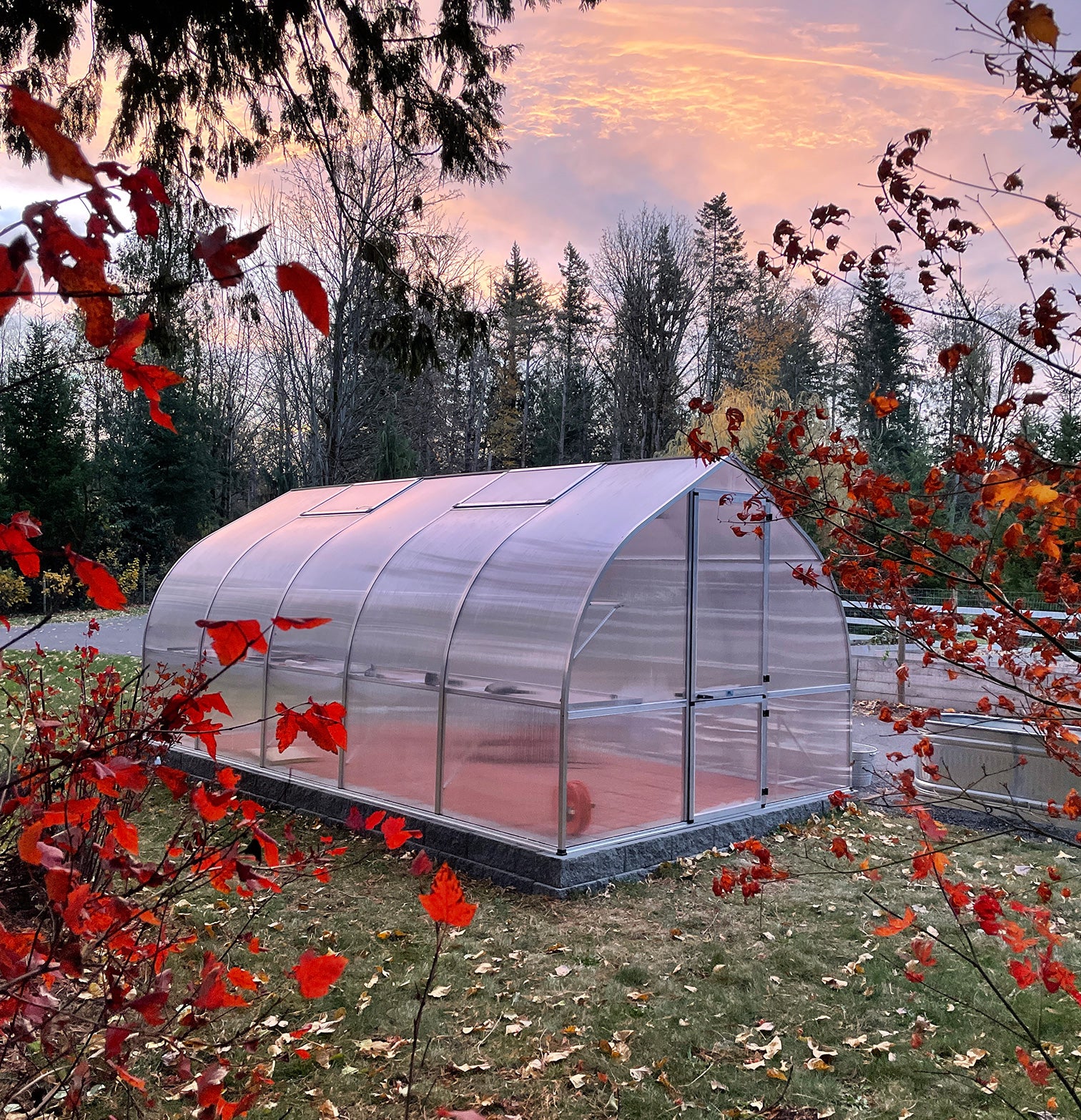 Transparent polycarbonate greenhouse with curved roof, roof vents, barn-style door, surrounded by autumn foliage at sunset