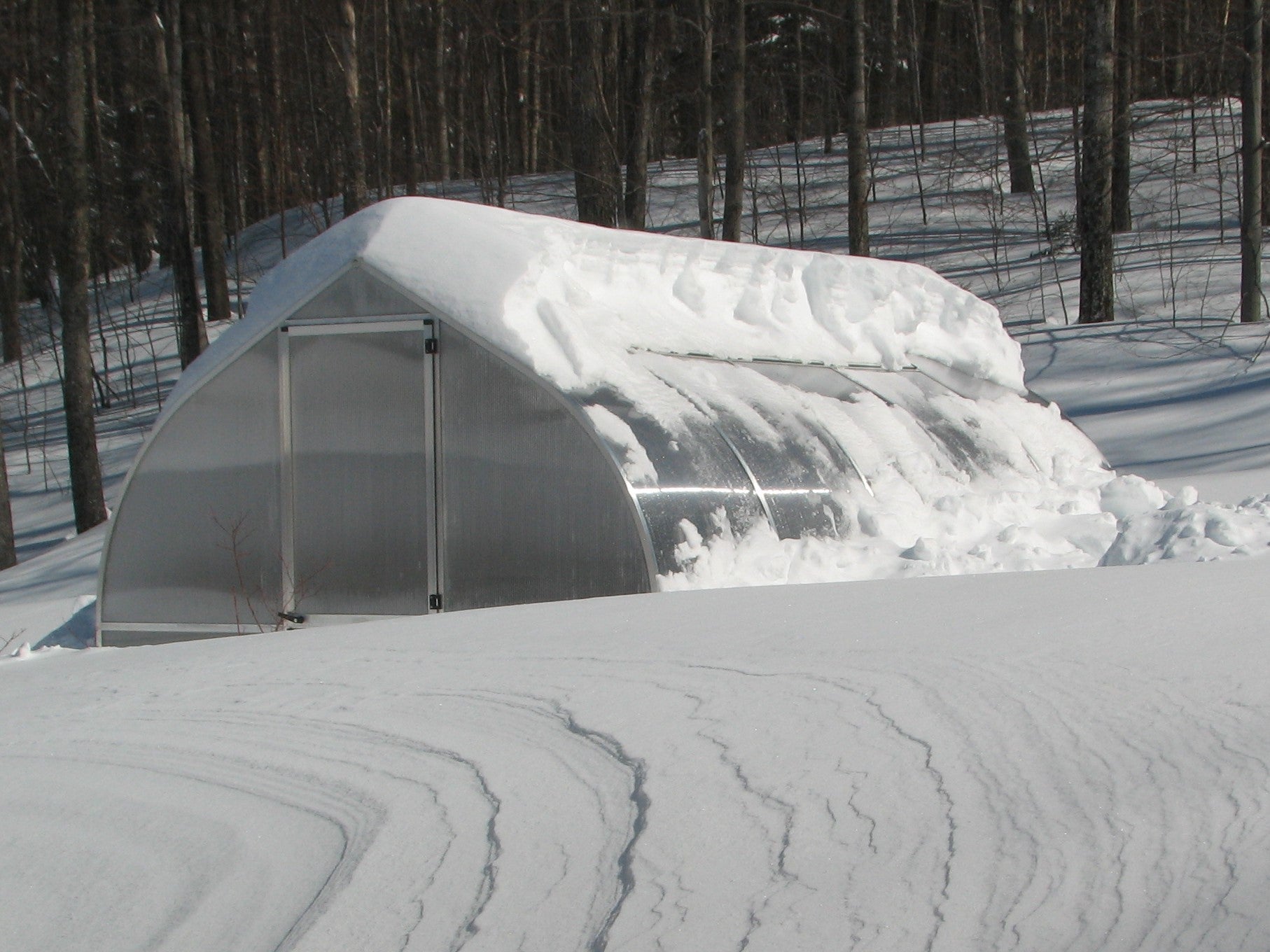 Snow-covered greenhouse with curved twin-wall polycarbonate panels, barn-style door, roof windows, and rear wall window in a winter forest setting