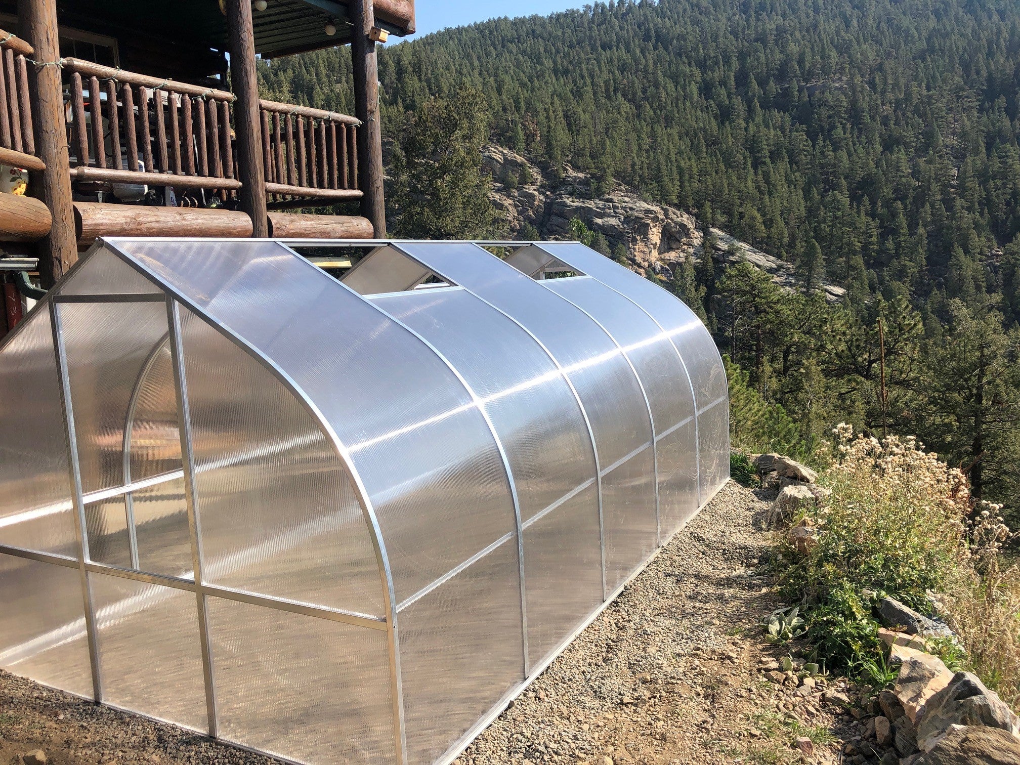 Curved polycarbonate greenhouse with multiple roof vents and barn-style door beside wooden cabin in forested mountain setting