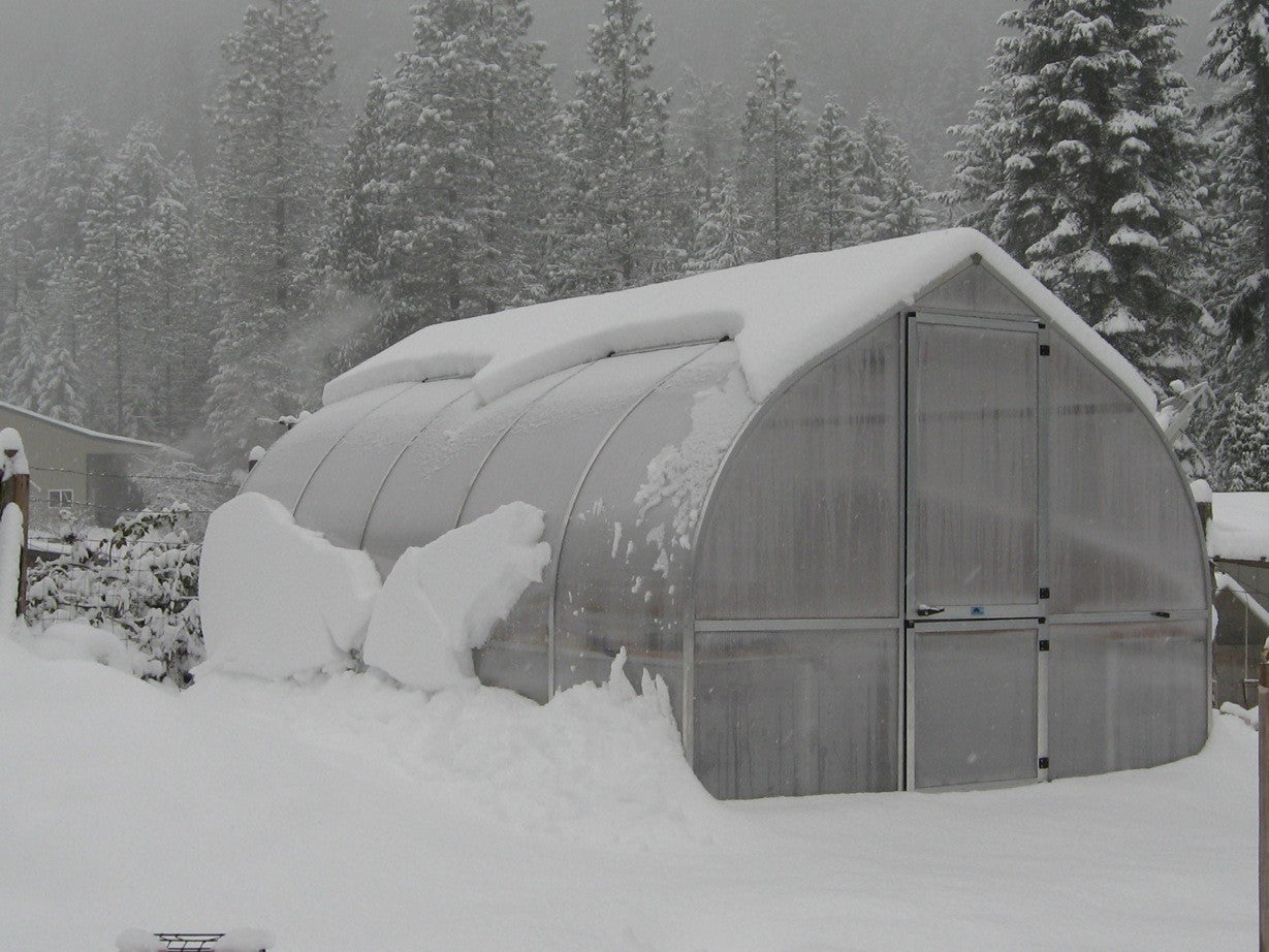 Snow-covered polycarbonate greenhouse with arched roof, barn-style door, multiple roof and wall windows in a snowy forest setting