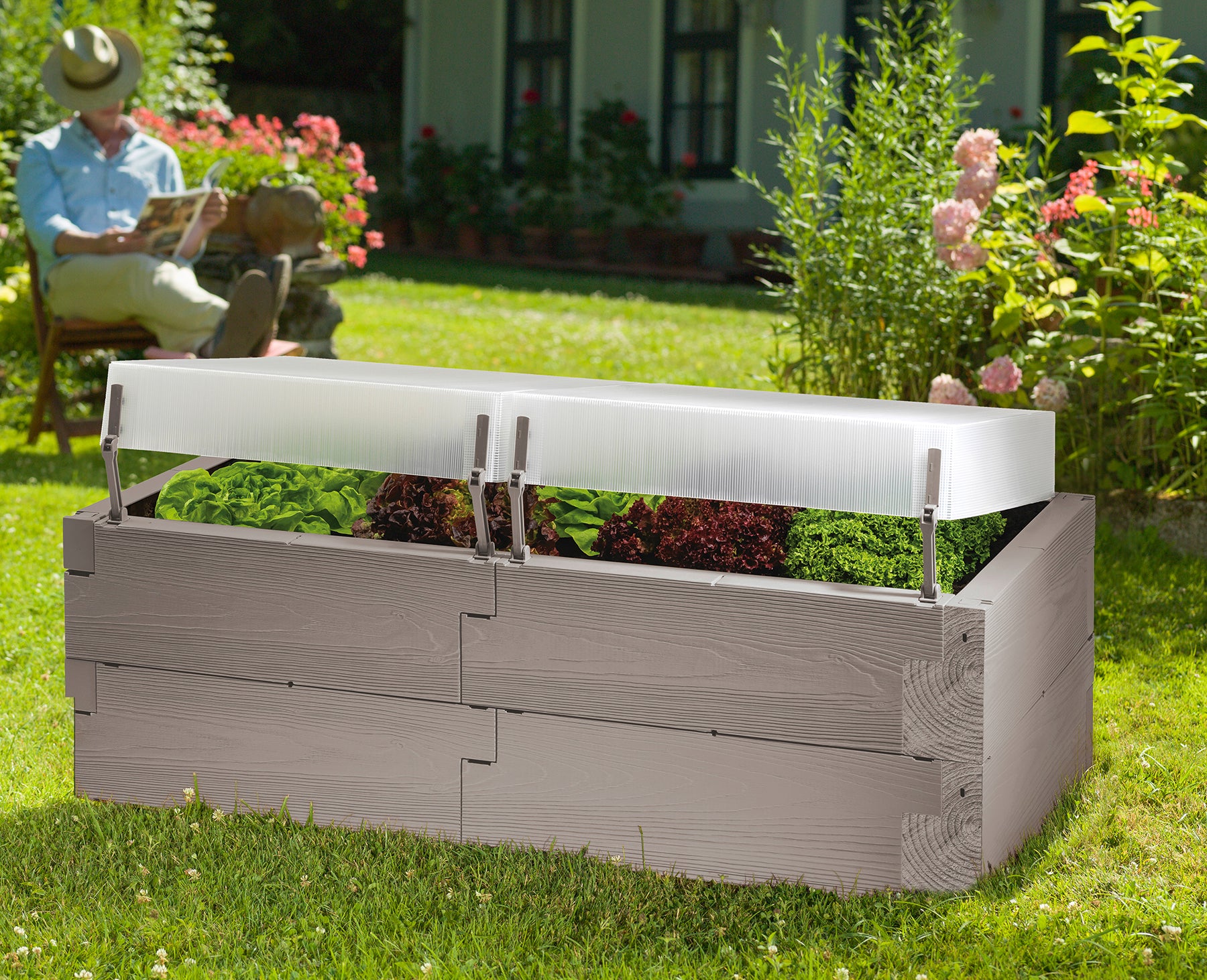 Raised poly timber textured garden bed with translucent polycarbonate cover partially open, filled with leafy greens in sunny outdoor setting