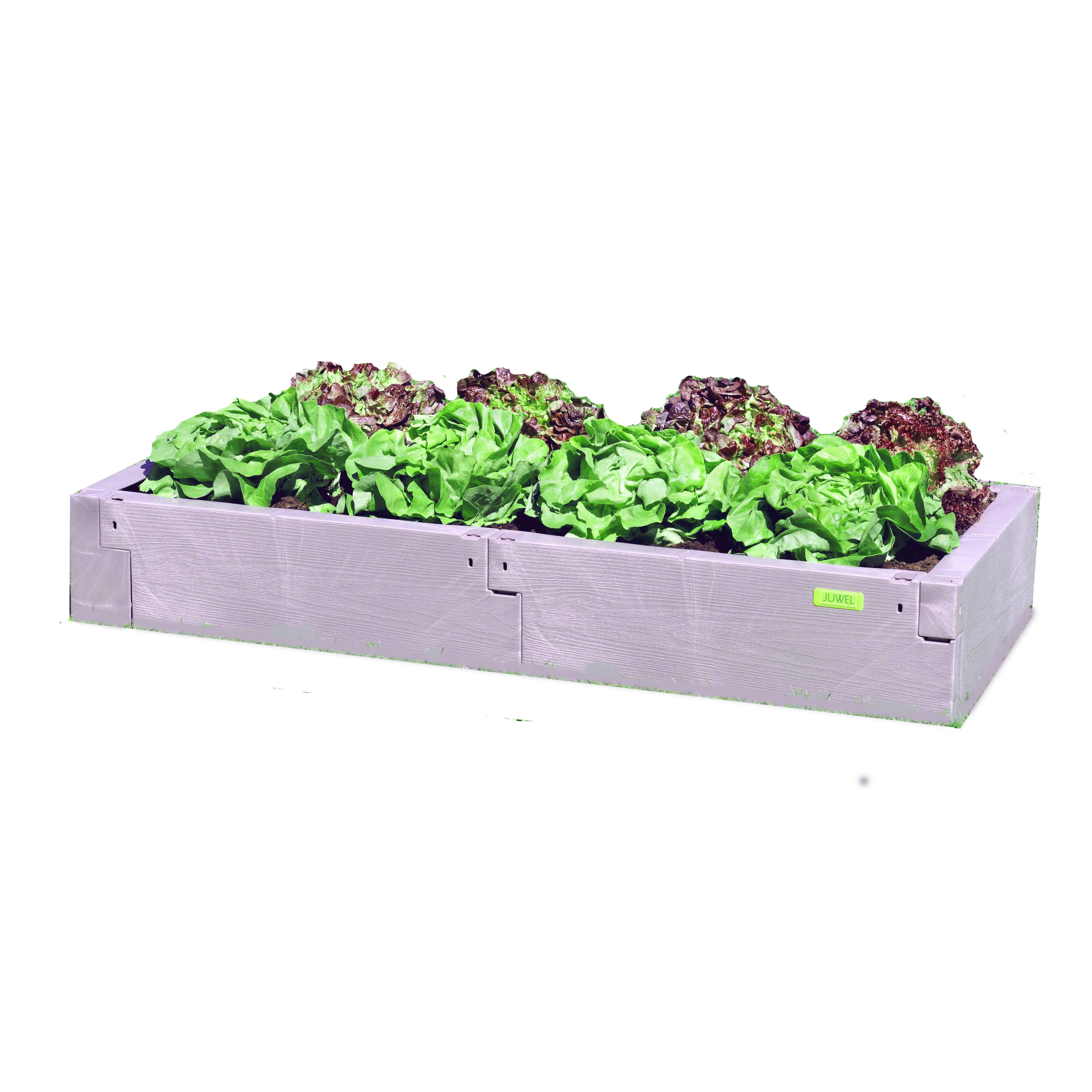 Grey poly timber raised garden bed with green and red lettuce, wood-textured plastic panels, durable and weather-resistant design