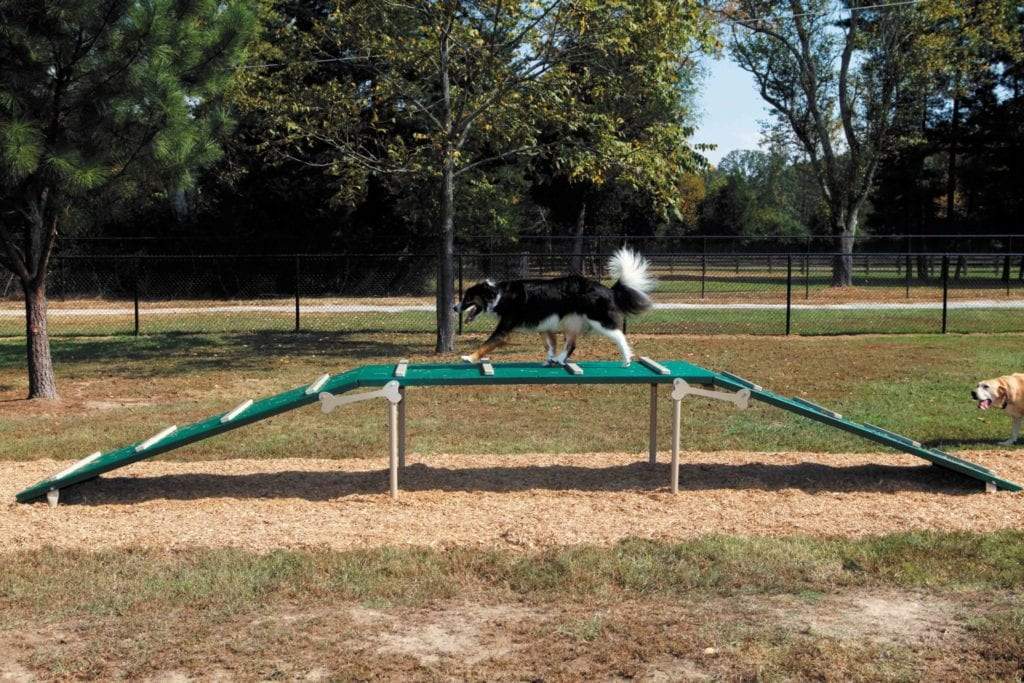 Elevated green dog park plank with non-slip strips, two dogs walking and running on grass, outdoor dog exercise equipment