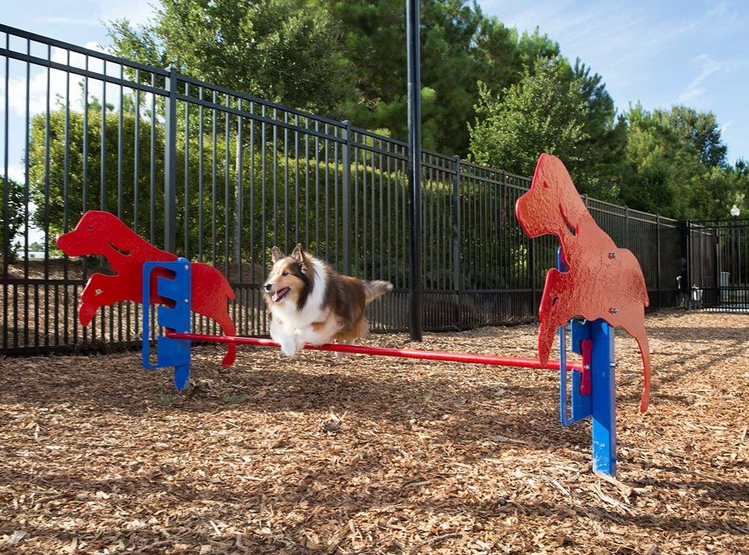 Dog jumping over red and blue agility bar with dog-shaped end panels on wood chip ground in outdoor fenced dog park