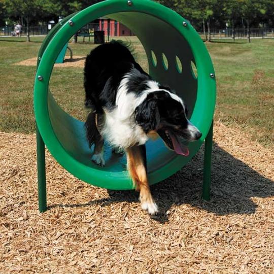 Black and white dog exiting green circular tunnel agility equipment on wood chip ground at dog park