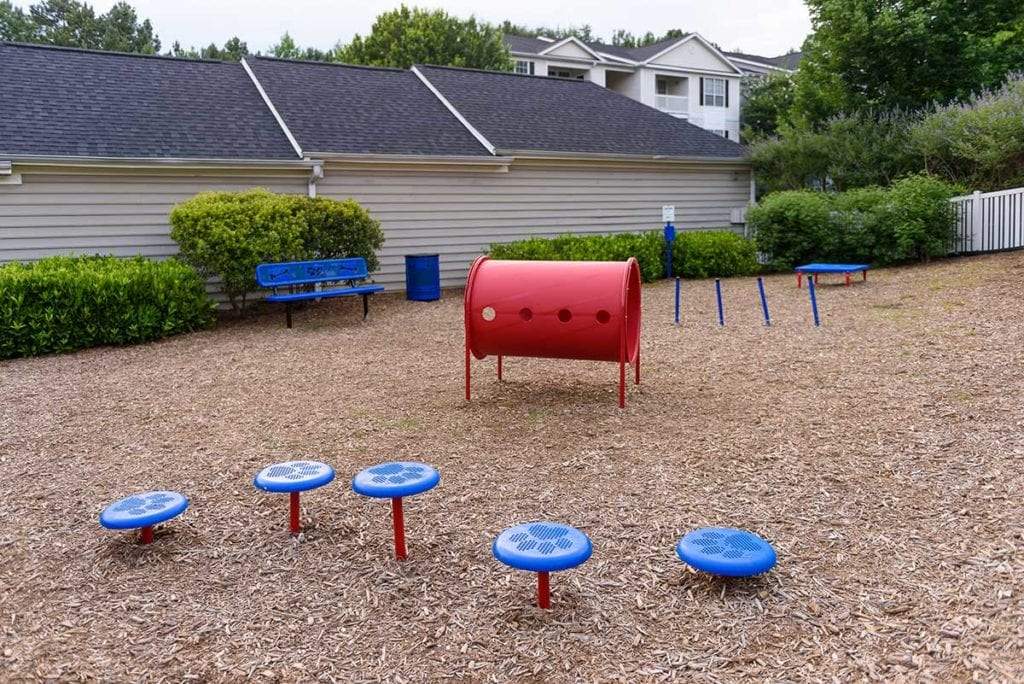 Outdoor dog agility course with blue stepping pods, red tunnel, and weave poles on wood chip ground