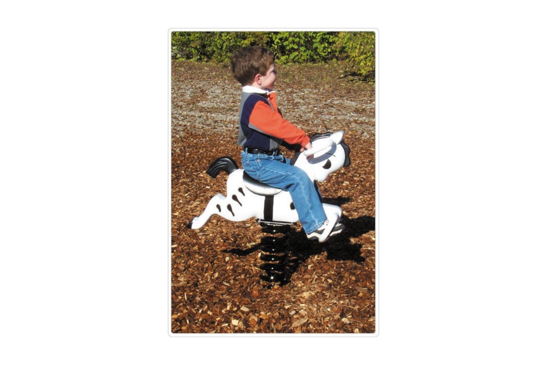 Zebra Easy Rider