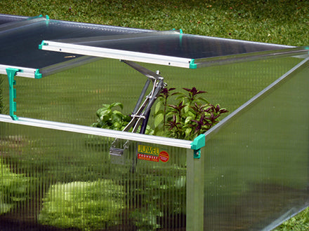 Compact cold frame greenhouse with clear twin-wall polycarbonate panels, three adjustable roof windows, and green plants inside.