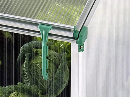 Green corner bracket securing clear twin-wall polycarbonate panel with leafy plants inside a cold frame greenhouse