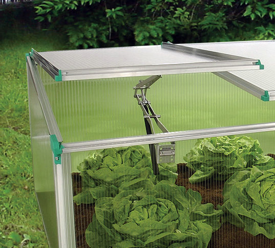 Mini greenhouse cold-frame with clear twin-wall polycarbonate panels and green leafy plants inside, outdoor garden setting