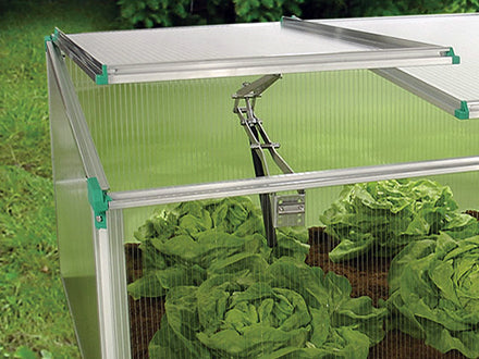 Compact cold frame greenhouse with clear twin-wall polycarbonate panels, adjustable roof vents, and leafy green plants inside.