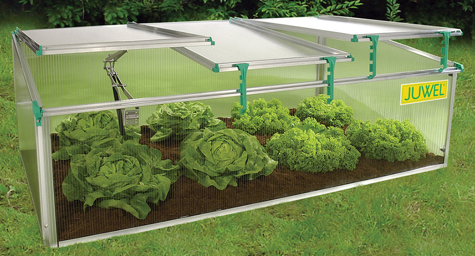 BioStar 1500 Premium Cold-Frame with three adjustable roof windows, clear UV-resistant polycarbonate panels, and green leafy plants inside
