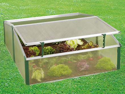 Compact double cold frame greenhouse with adjustable roof windows and leafy greens inside on grass surface