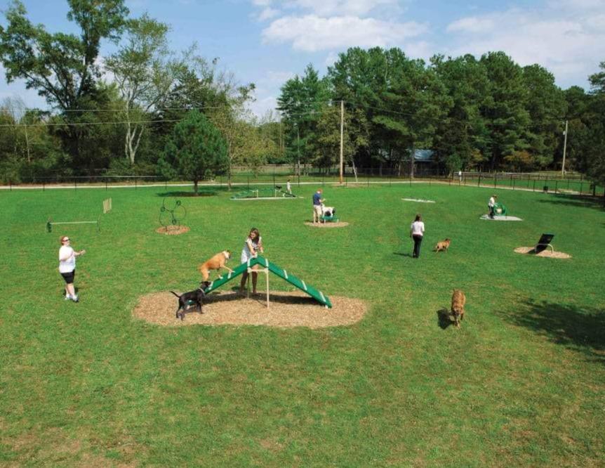 Outdoor dog agility course on grass with ramps, jumps, weave posts, and handlers guiding dogs through activities