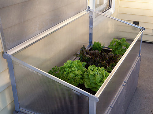 Raised poly timber garden bed with clear polycarbonate cover, containing leafy greens, designed for easy, elevated gardening.