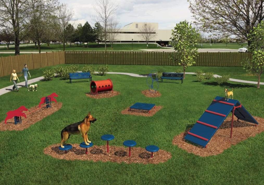 Outdoor dog agility course on grass with six colorful stations including ramps, stepping platforms, tunnel, and jumps