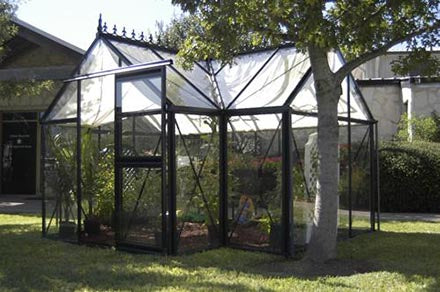 Black-framed greenhouse with tall peaked roof, sliding glass door, automatic roof vents, and lush plants inside on grass lawn