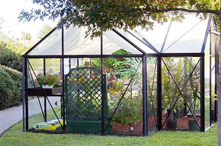 Black-framed greenhouse with clear glass panels, sliding door, automatic roof vents, and lush plants inside in a garden setting