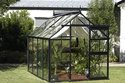 Glass greenhouse with black metal frame, open door, white full-length shade curtain, and seed-tray shelf inside surrounded by greenery