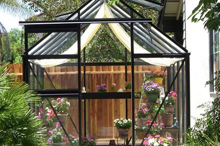 Junior Victorian Accessory Kit with seed-tray shelf and full-length shade curtain inside black-framed glass greenhouse filled with flowering plants